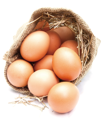 土鸡蛋英文名称农家土鸡蛋食品海报设计